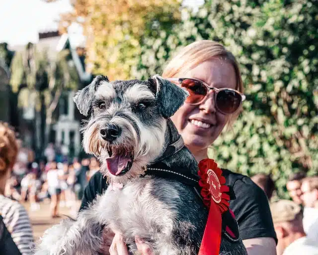 A woman holds her miniature Schnauzer Dog as the two enjoy an outing