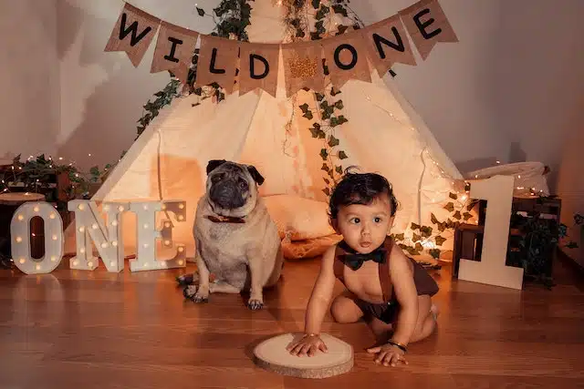 little boy celebrates his birthday with his dog whose age (5) in human years would be 36