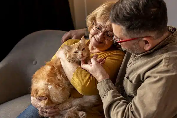 An elderly couple with a cat. Statistics on insurance shows how different generations insure their pets