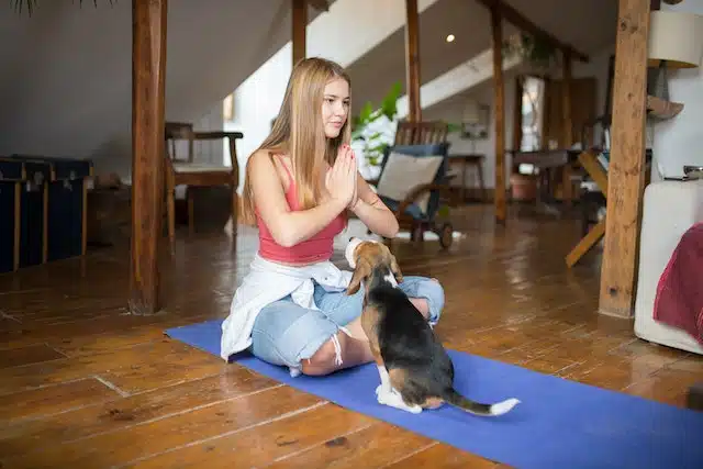 A woman practices yoga while her puppy sits alongside her