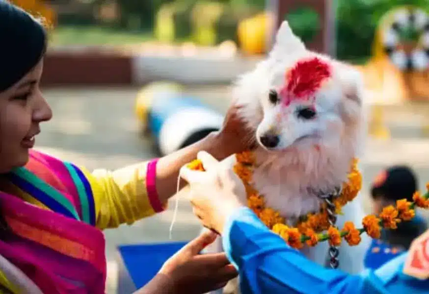 A woman affectionately pets a dog adorned with flowers on its head, honoring the sacred connection between humans and animals.