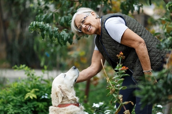 Older woman with dog in nature. Statistics on insurance shows how different generations insure their pets