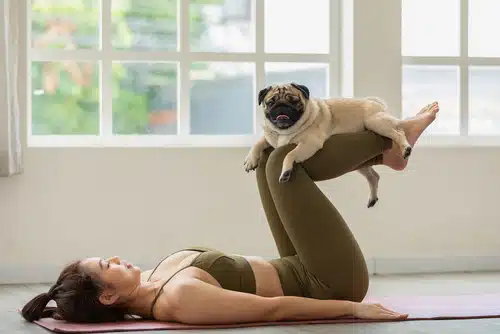 a woman does dog yoga with her pug