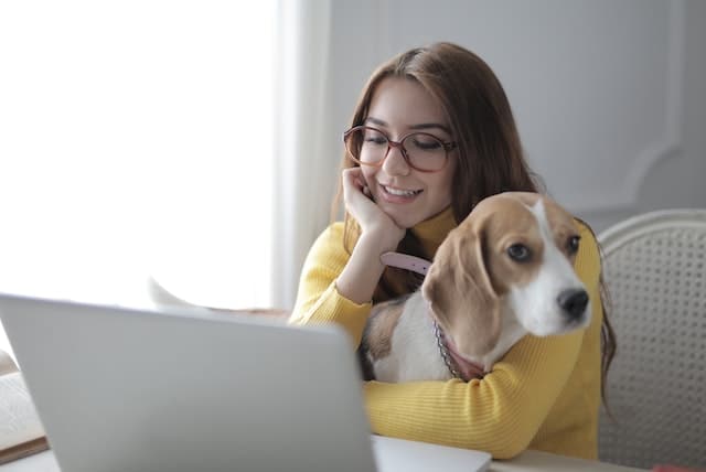 a woman researches why pet insurance generally doesn't pay vets directly