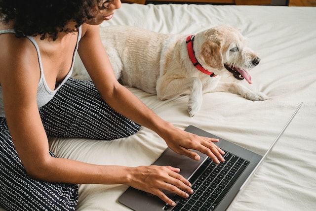 A woman sits on her bed at her laptop with her trusted canine at her side.