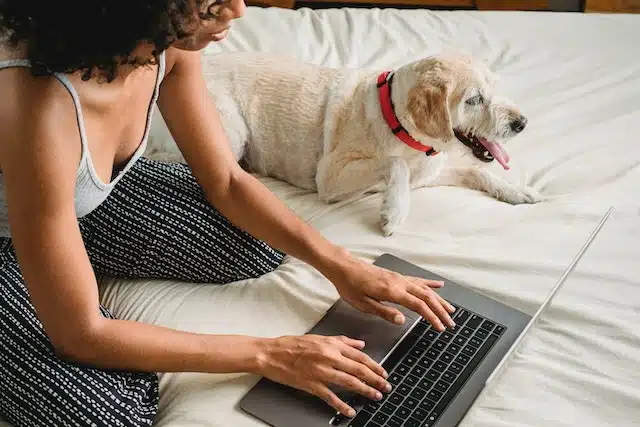 A woman sits on her bed at her laptop with her trusted canine at her side.