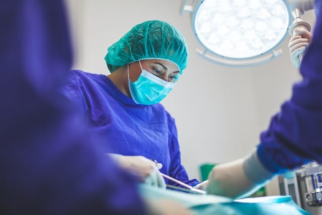 Vet performs surgery on a dog after a car accident and feels grateful, that the owner has pet insurance and didn't have to negotiate treatments based on cost limitations