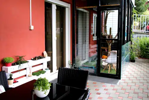 A cat in a stylish black catio