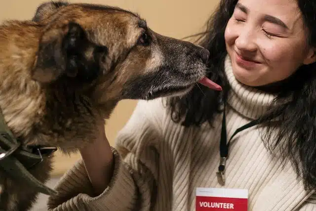 A dog shows its owner affection, and she feels satisfied with her decision that pet insurance is right for her pet dog so she can have less worries and focus more on it