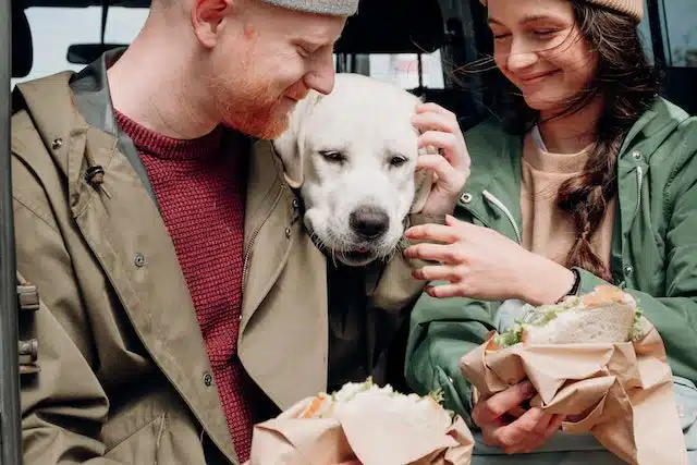 a couple sit with their cute labrador in between them as they eat takeaway sandwiches