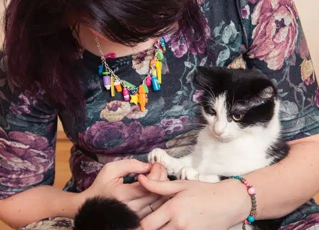 a woman holds her cat who is recovering from a bite from another cat - thankfully the other owner's third party liability helped pay for treatment costs