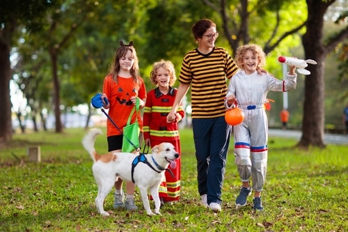 A woman and three children in Halloween costumes walk a white dog in a park. The children, dressed as a pumpkin, a firefighter, and an astronaut, are smiling and carrying Halloween buckets. The dog is also sporting a Halloween costume, adding to the festive spirit of their outing.