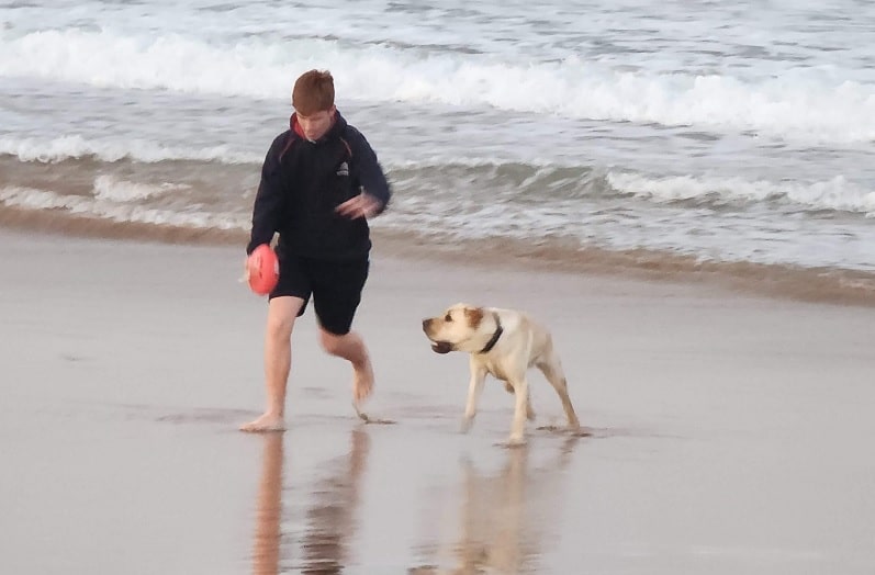 A boy playing with a dog on the beach while the dog accidentally ate a stone. He's recovering from an intestinal blockage.