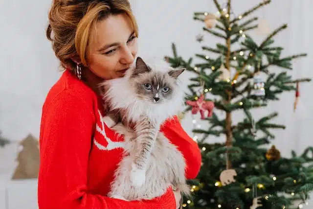 A woman celebrates Christmas with her cat