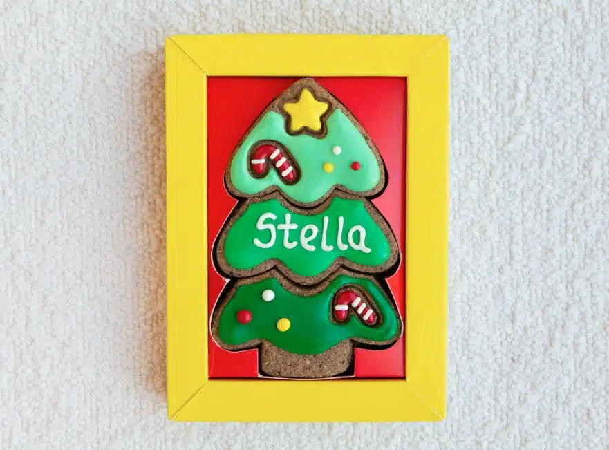 A dog treat that's shaped like a Christmas tree and made from dog safe ingredients
