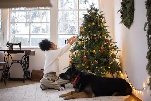 A woman decorates the Christmas tree with her trusted dog by her side