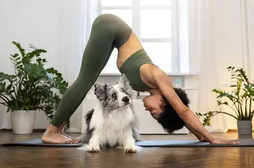 This is an image of a dog and his owner joining a yoga class. 