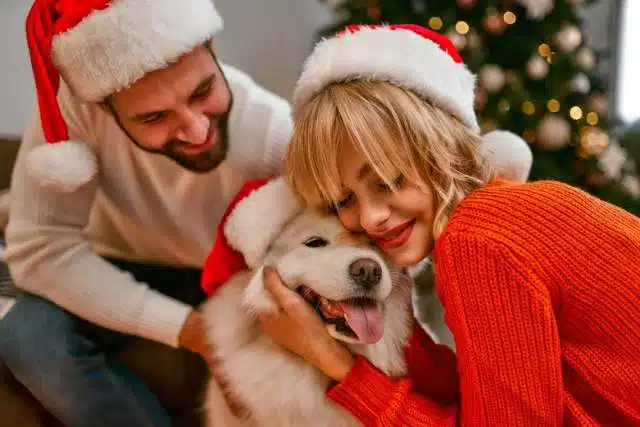 Two people wearing Santa hats cuddle a fluffy dog in front of a decorated Christmas tree, capturing the perfect moment for pet lovers.