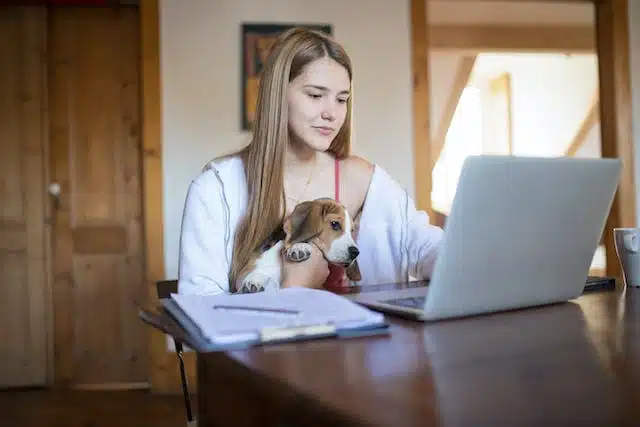 A woman researches pet insurance so that her pup will be covered for unexpected vet bills