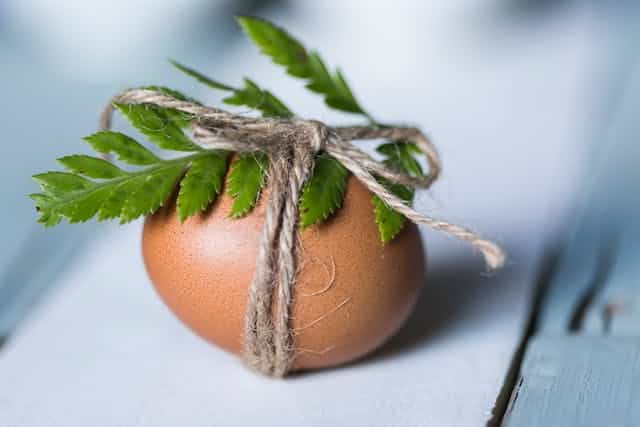 A brown egg with green leaves tied around it for Easter