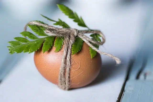 A brown egg, adorned with green leaves and tied with twine, rests elegantly on a light blue surface.
