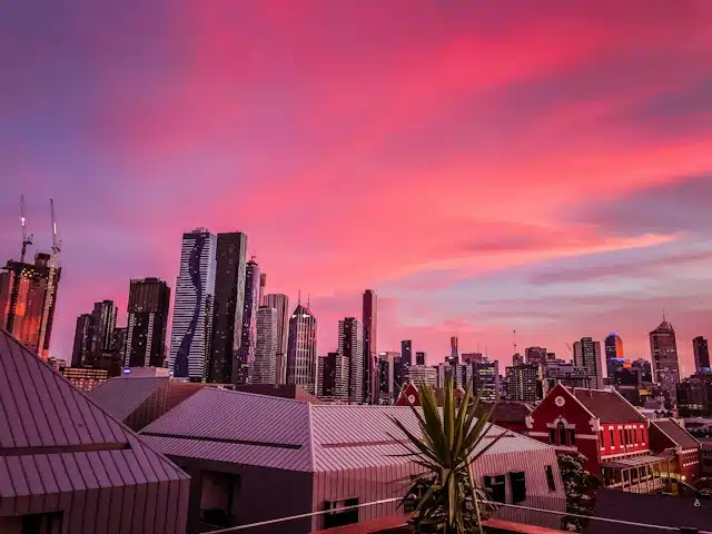 As the sun sets over the city skyline, a vibrant pink and orange sky backdrops modern skyscrapers and historic buildings with red roofs. A tall plant in the foreground offers contrast, reminiscent of scenic vistas along an Easter road trip through charming landscapes.