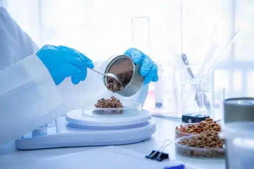 A scientist is auditing pet food against the standard regulations in Australia using a sample of food in a laboratory.
