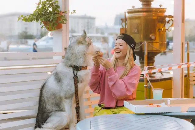 A woman shares pizza with her dog but at home she feeds it dog food that complies with pet food manufacture and labelling regulations.