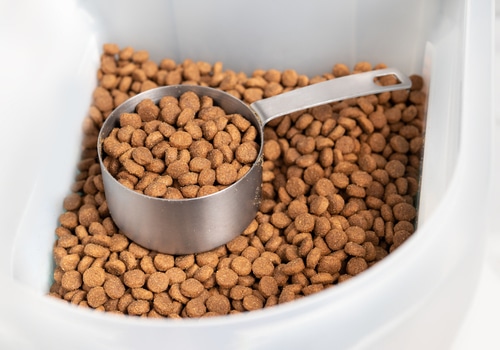 A scoop of dog food in a plastic container for dog food storage.