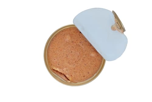 A can of tuna, a type of cat food storage, on a white background.