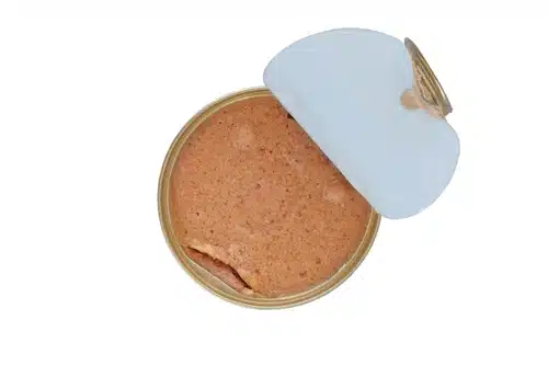 A can of tuna, a type of cat food storage, on a white background.