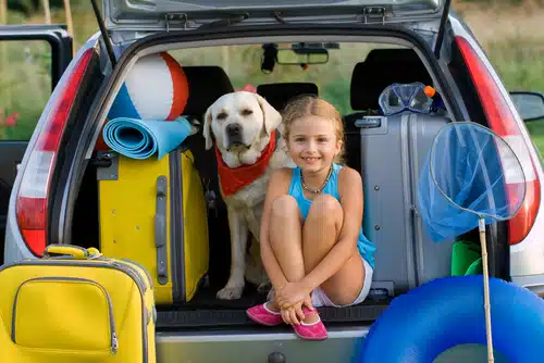 A girl sitting in the trunk of a car with a dog, just after her parents have packed.