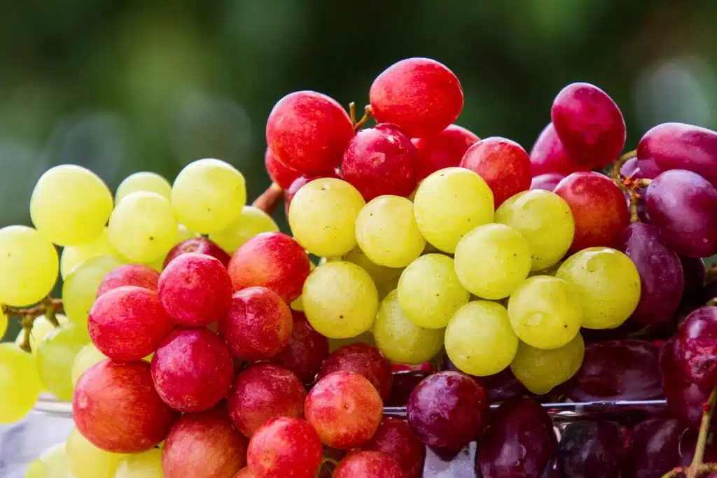 A bunch of grapes in a glass bowl.