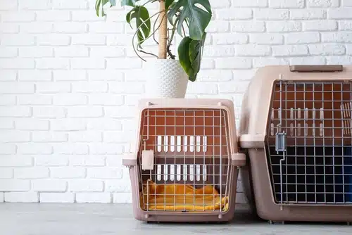 Two pet crates in front of a brick wall.