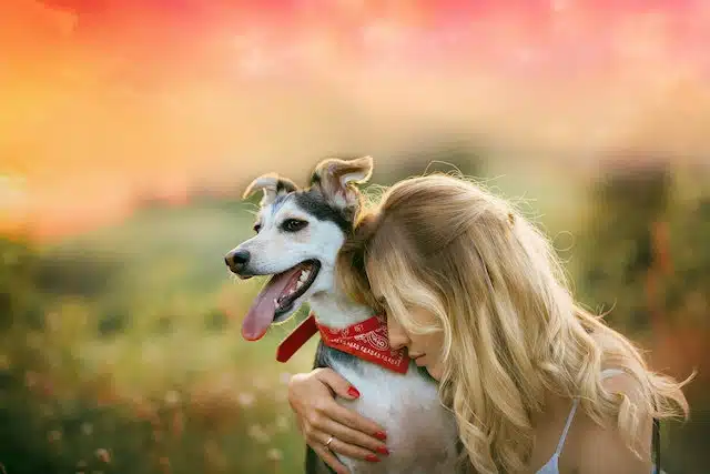 A woman affectionately embraces dog in a field at sunset, marvelling at how smart her dog is at understanding when she's sad or happy