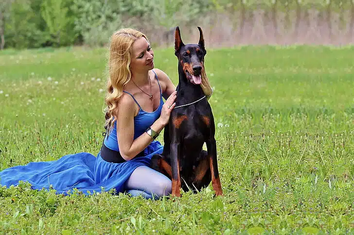 Woman demonstrating how smart her dog is by sitting on the grass with a Doberman Pinscher, one of the most intelligent dog breeds.