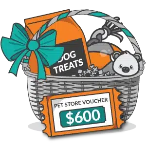 Illustration of a gift basket for "Dogs West Competition" winners, containing dog treats, a stuffed panda toy, and a $600 pet store voucher.