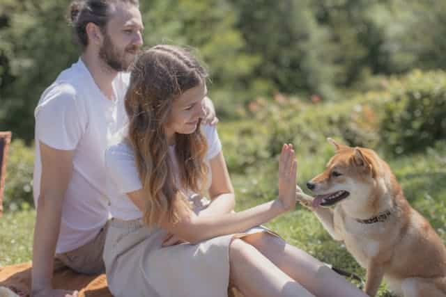 A man and a woman sit on the grass outdoors with their family pooch, high fiving and enjoying the picnic.