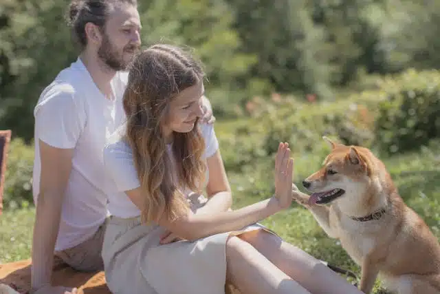 A man and a woman sit on the grass outdoors with their family pooch, high fiving and enjoying the picnic.