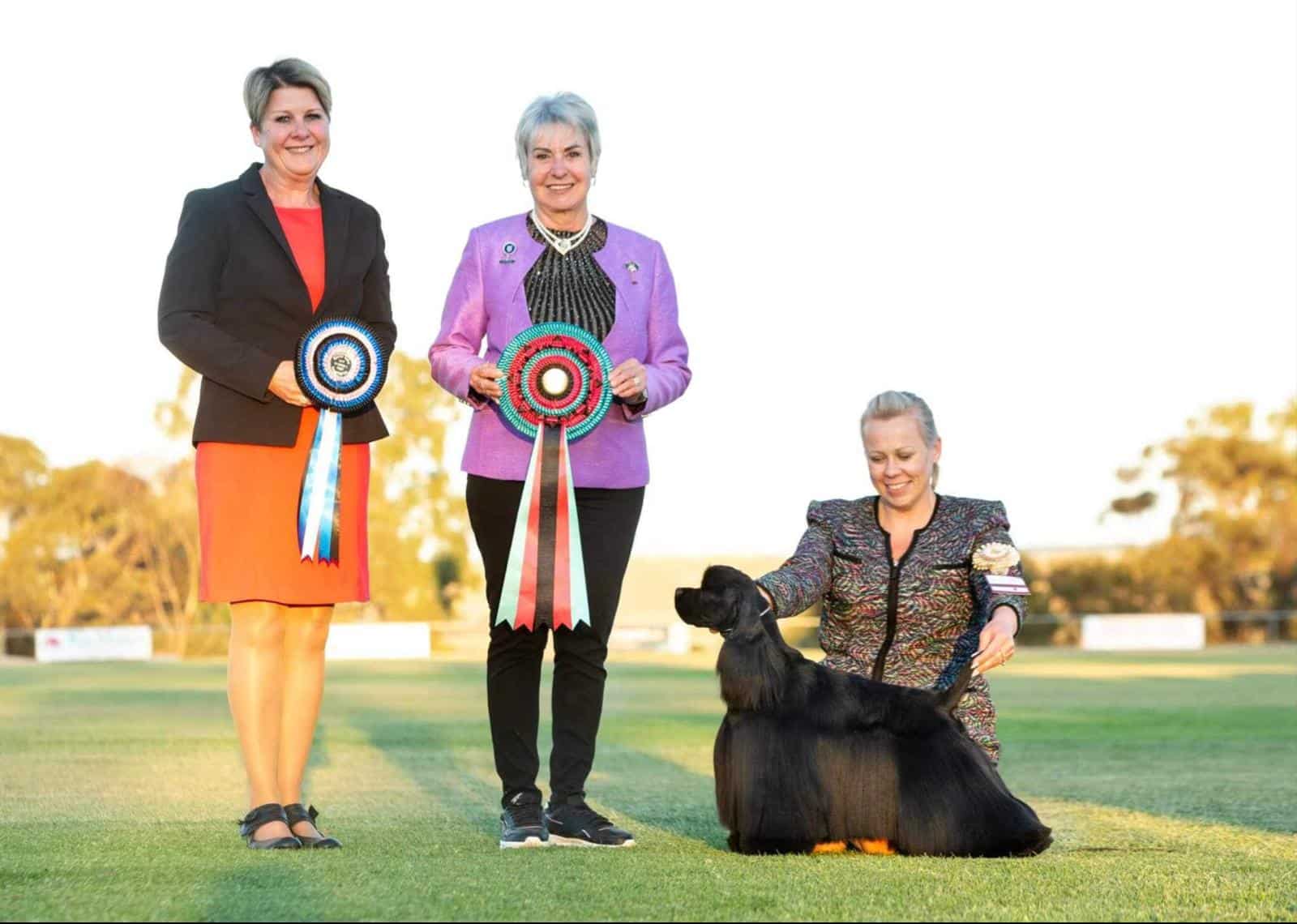 Three people are on a grass field; two are proudly holding award ribbons from the dog show, while one kneels beside a black dog, showcasing its conformation.