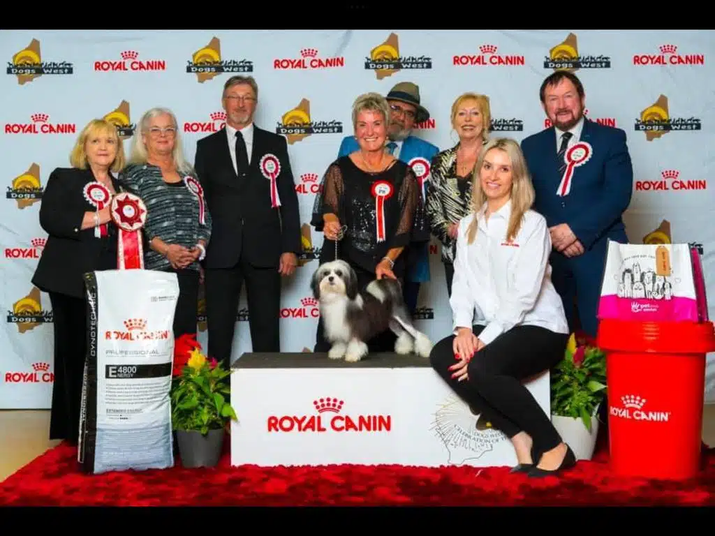 A group of people in formal attire stands and kneels around a dog on a podium, showcasing their pride at the dog show. With a Royal Canin backdrop, awards, and conformation ribbons gleaming alongside pet food bags, the scene captures an elegant celebration of canine excellence.