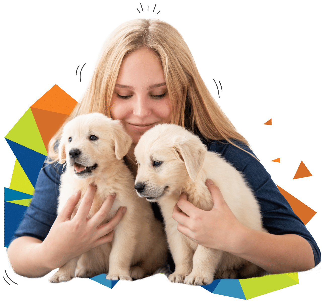 A person joyfully holds two golden retriever puppies, with vibrant geometric shapes adding a playful backdrop. Dogs Victoria's influence can be sensed in the cheerful scene, celebrating the zest of puppy companionship.