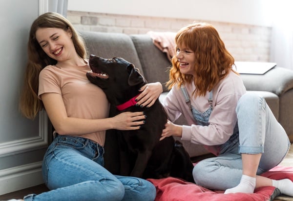 Two young women sit on the floor by a couch, smiling and petting a black dog with a pink collar, chatting about pet insurance quotes to keep their furry friend protected.