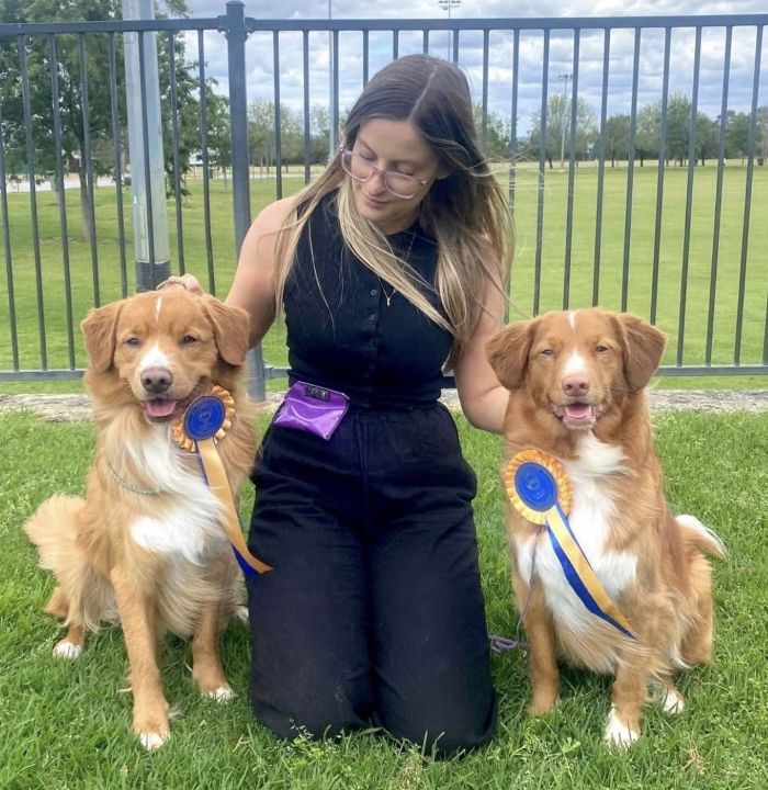 Dogs West member, Jess, kneels on grass with her two duck toller pups, who are both involved in dog sports