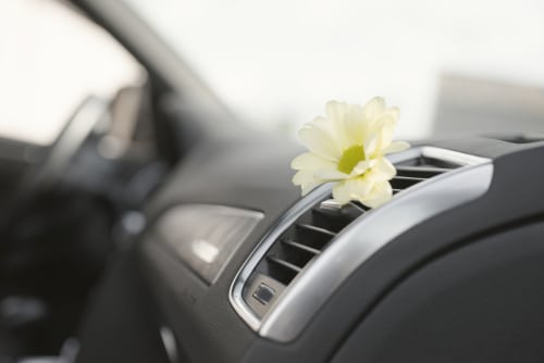 A single yellow flower is placed in the air vent of a car dashboard, perhaps as a simple remedy for those wondering, “Why Does My Car Stink?”.