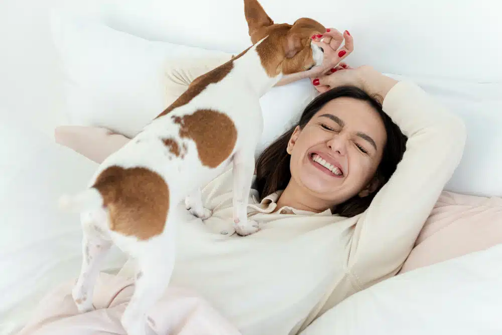 A woman lying on a bed smiles as a small brown and white dog stands on her and licks her hand, capturing a joyful moment of dog appreciation day.