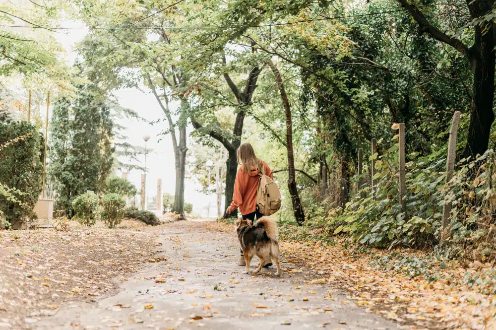 A person with long hair walks on a leaf-covered path.