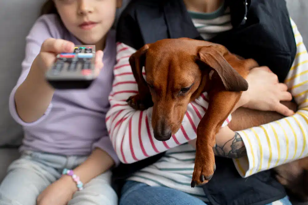 A child holds a TV remote while sitting next to an adult holding a brown dachshund on their lap, celebrating International Dog Day.