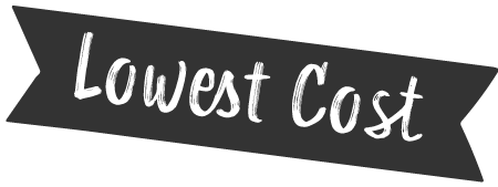 A dark ribbon-shaped banner with the words "Lowest Cost" in white, handwritten-style text—perfect for highlighting affordable pet insurance in Newcastle.